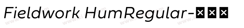 Fieldwork HumRegular字体转换